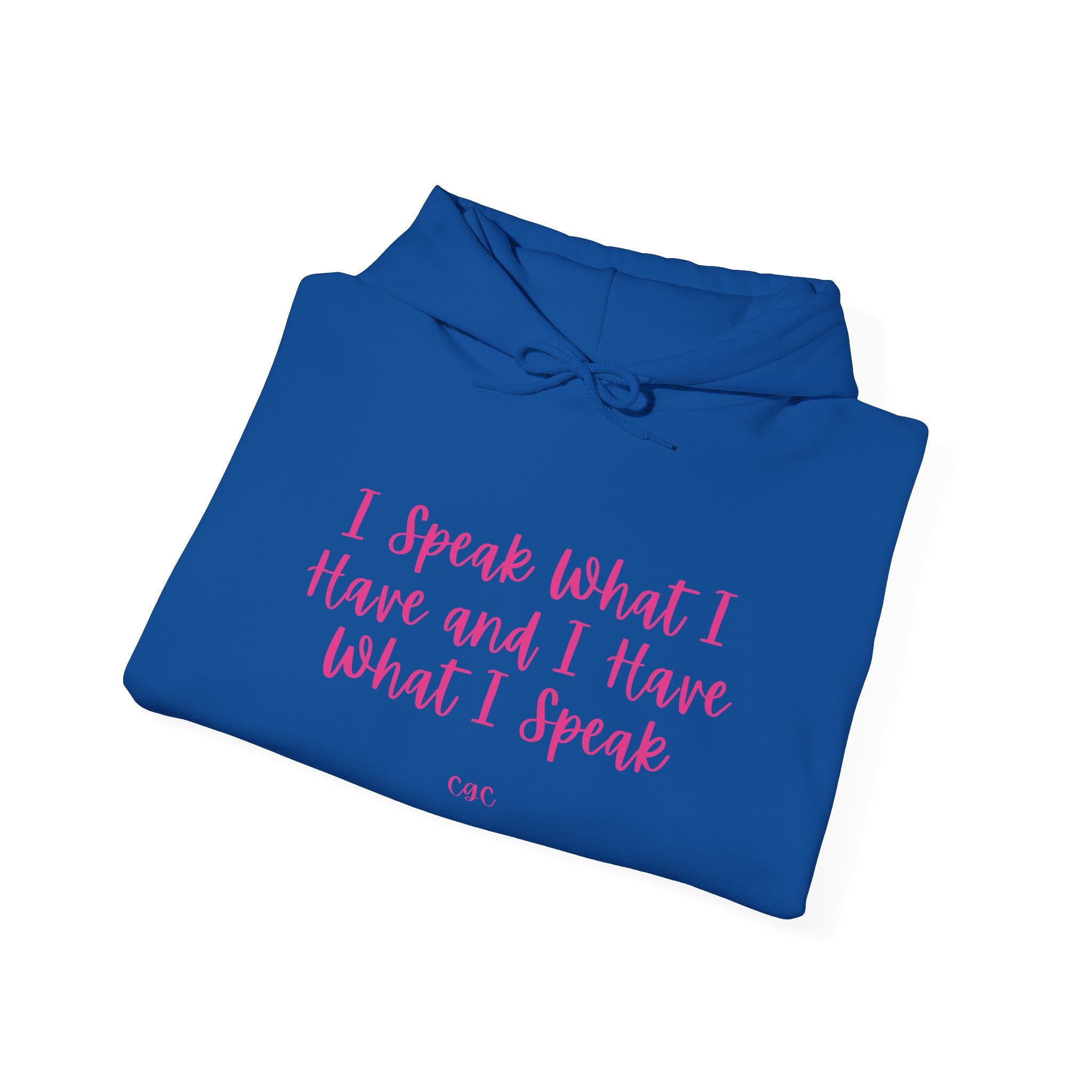 Hoodie — "I Speak What I Have and I Have What I Speak" Inspirational Pullover