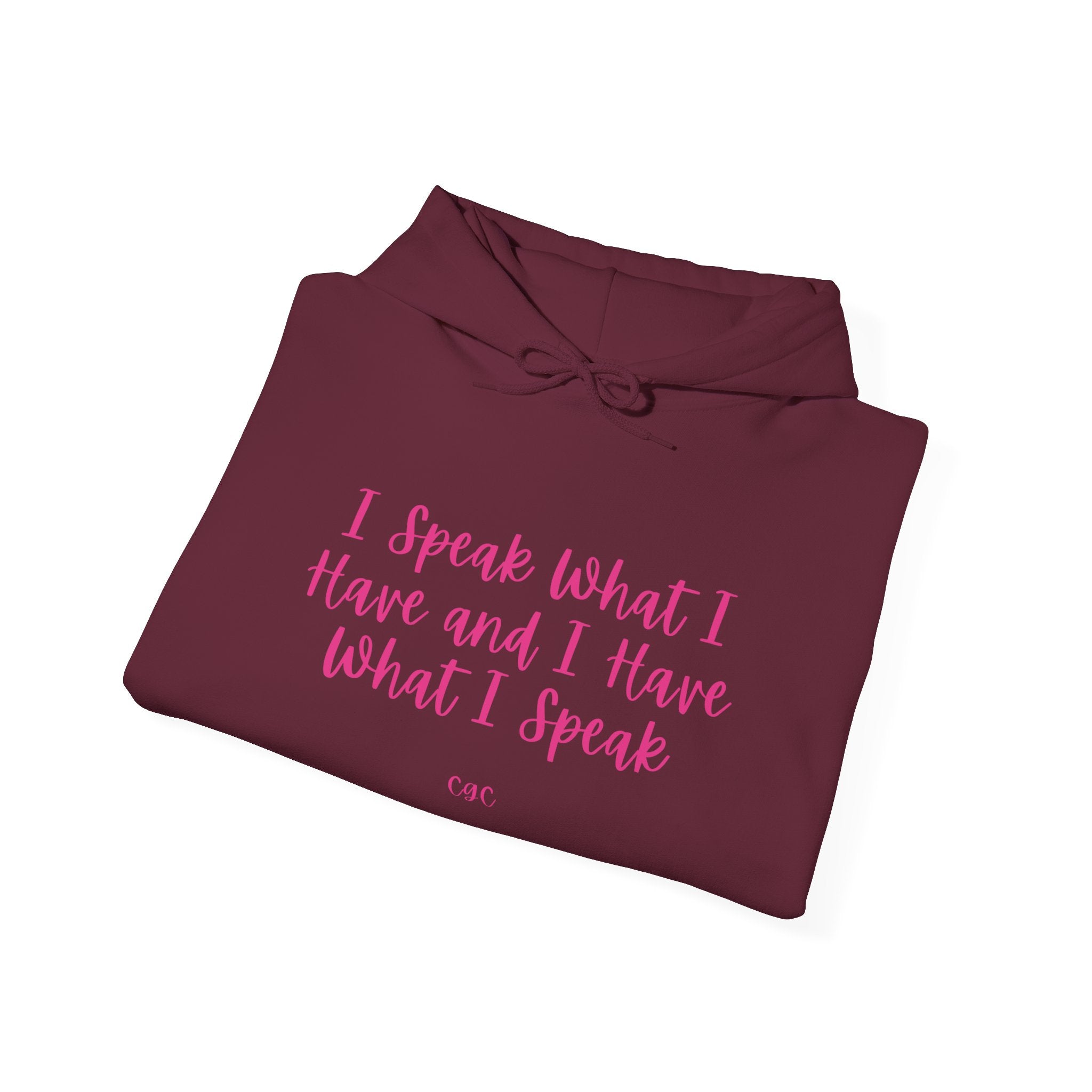 Hoodie — "I Speak What I Have and I Have What I Speak" Inspirational Pullover