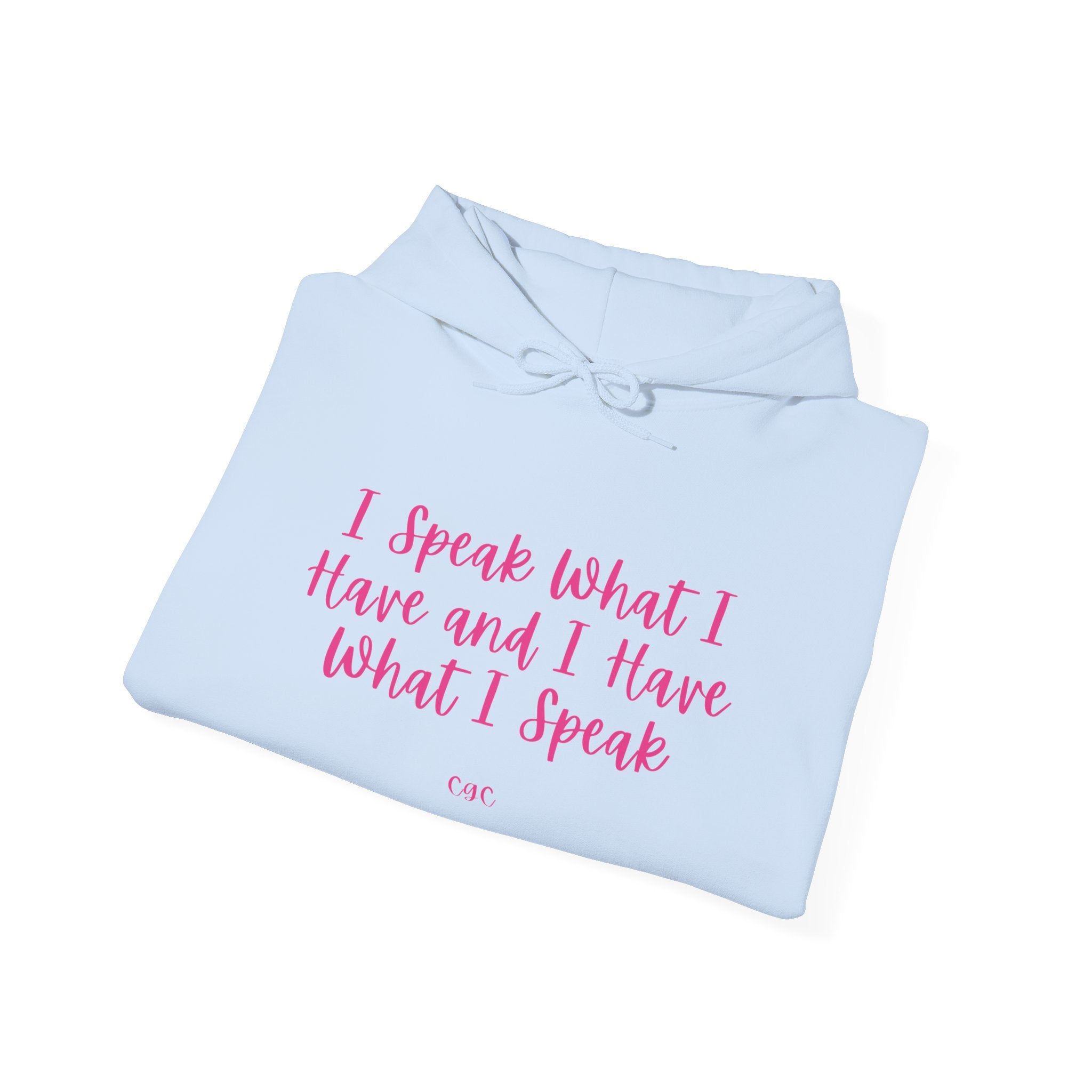 Hoodie — "I Speak What I Have and I Have What I Speak" Inspirational Pullover