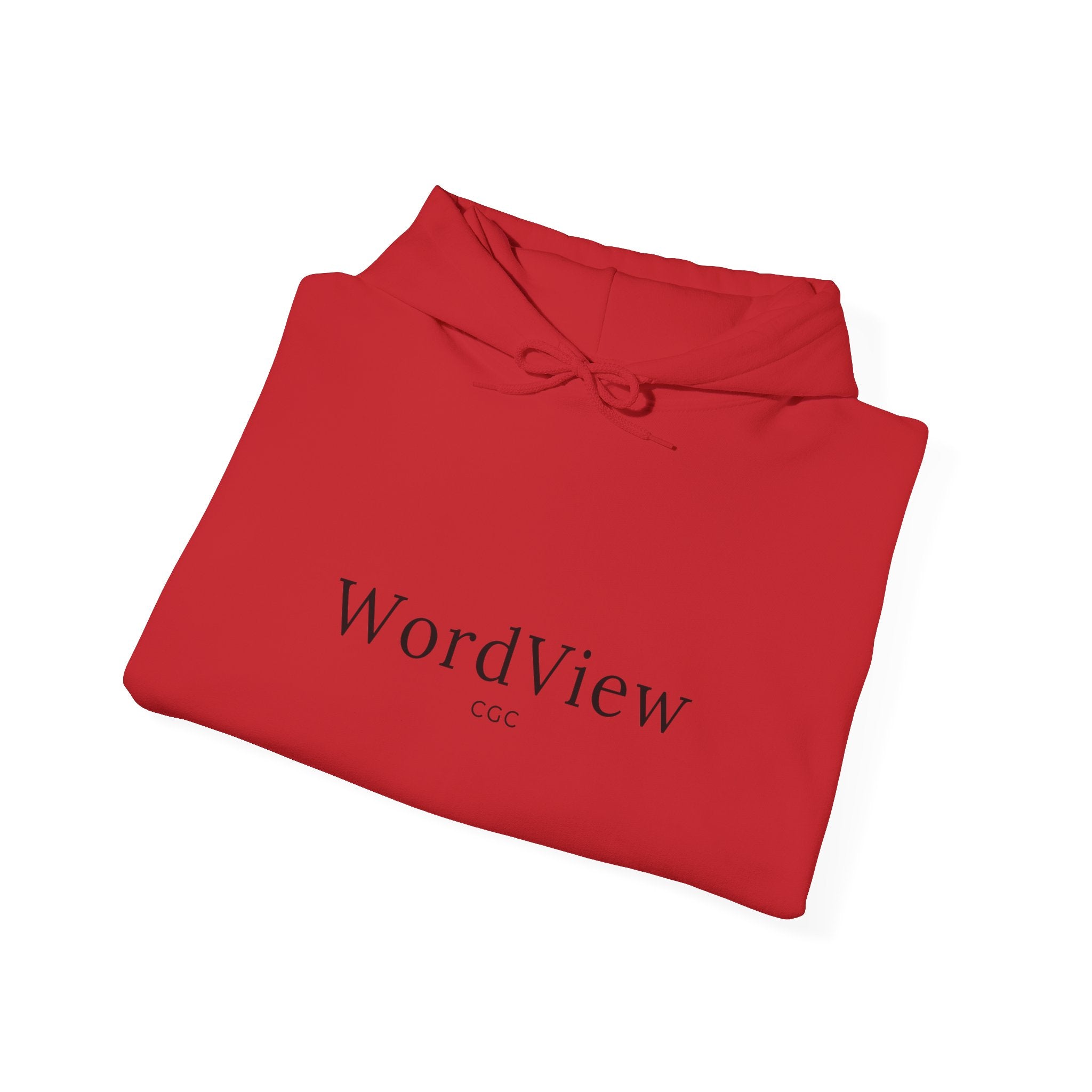 WordView Hoodie — Minimalist Literary Hoodie with 'WordView' Logo & Footprints Back Design