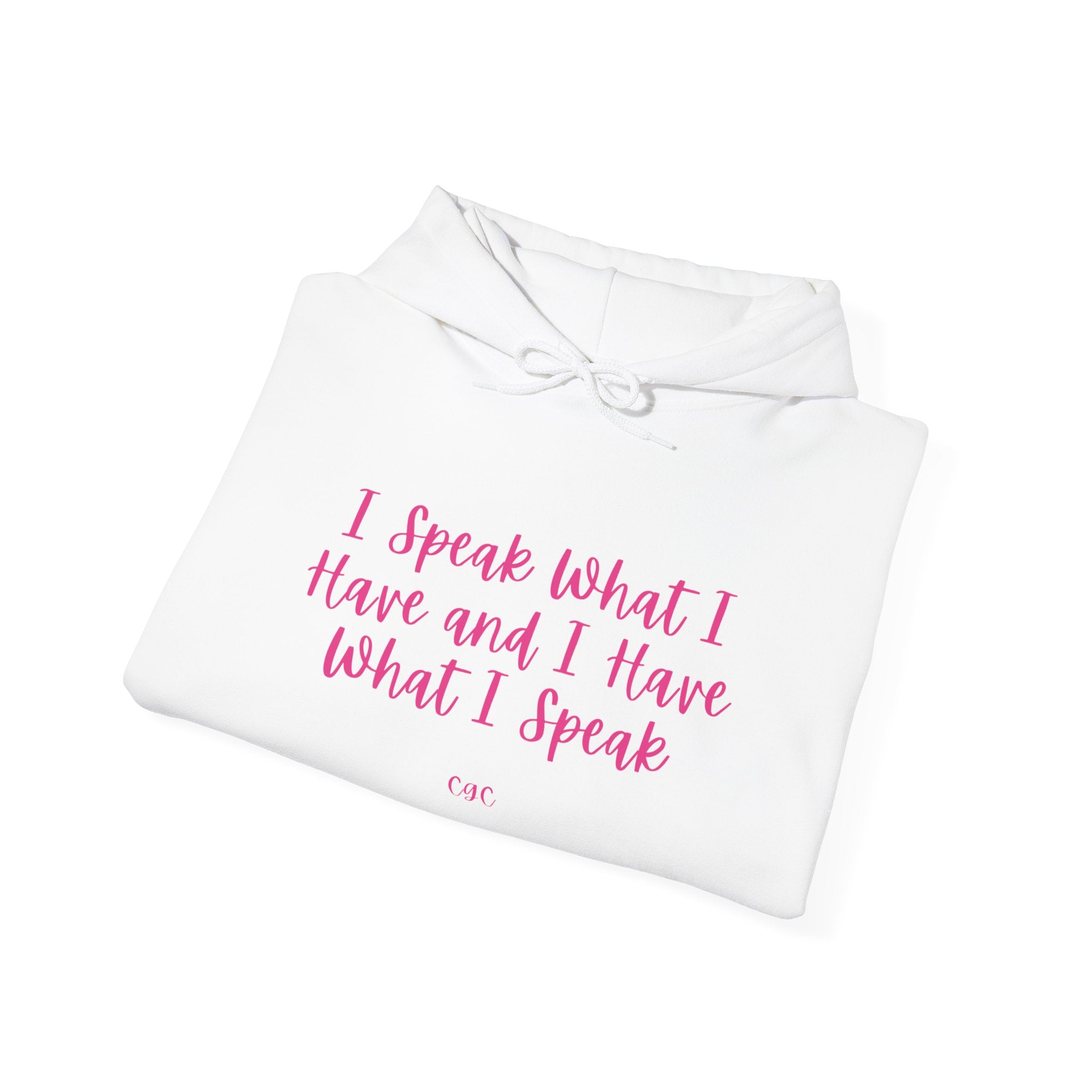 Hoodie — "I Speak What I Have and I Have What I Speak" Inspirational Pullover