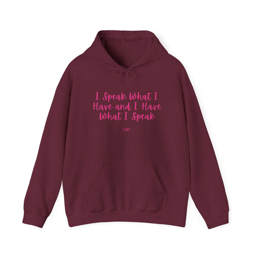 Hoodie — "I Speak What I Have and I Have What I Speak" Inspirational Pullover