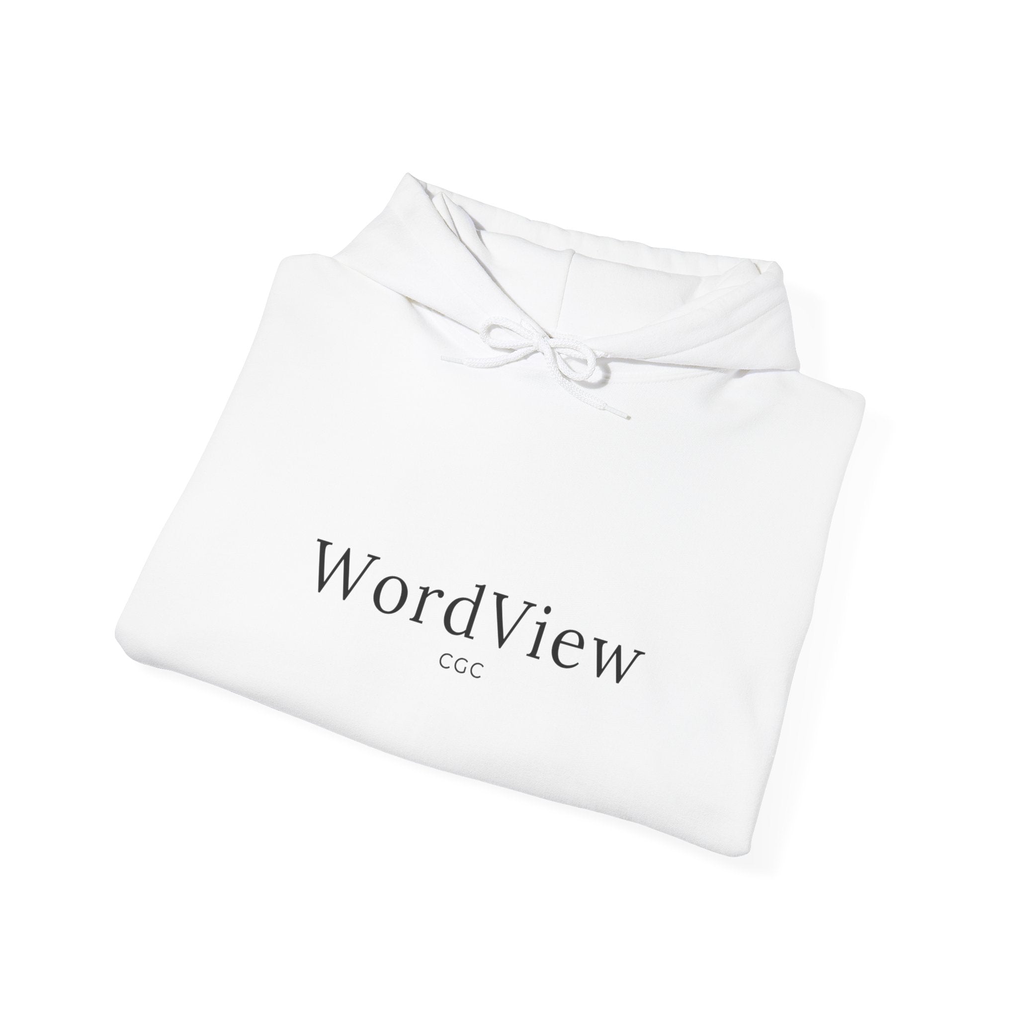 WordView Hoodie — Minimalist Literary Hoodie with 'WordView' Logo & Footprints Back Design